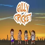 Gully Cricket